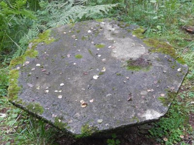 Image Thumbnail